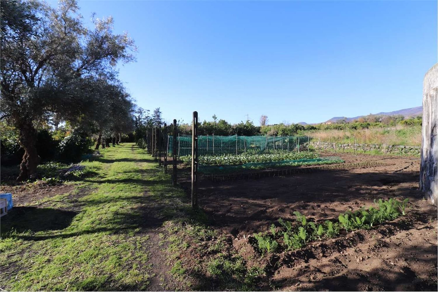  قطعة أرض في Santa Venerina, Italy 23303متر مربع رقم 160738