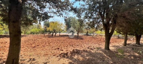 4 rooms House in Ceglie Messapica, Italy No. 66043 19