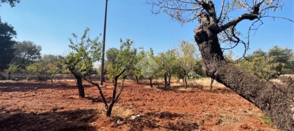 4 rooms House in Ceglie Messapica, Italy No. 66043 20