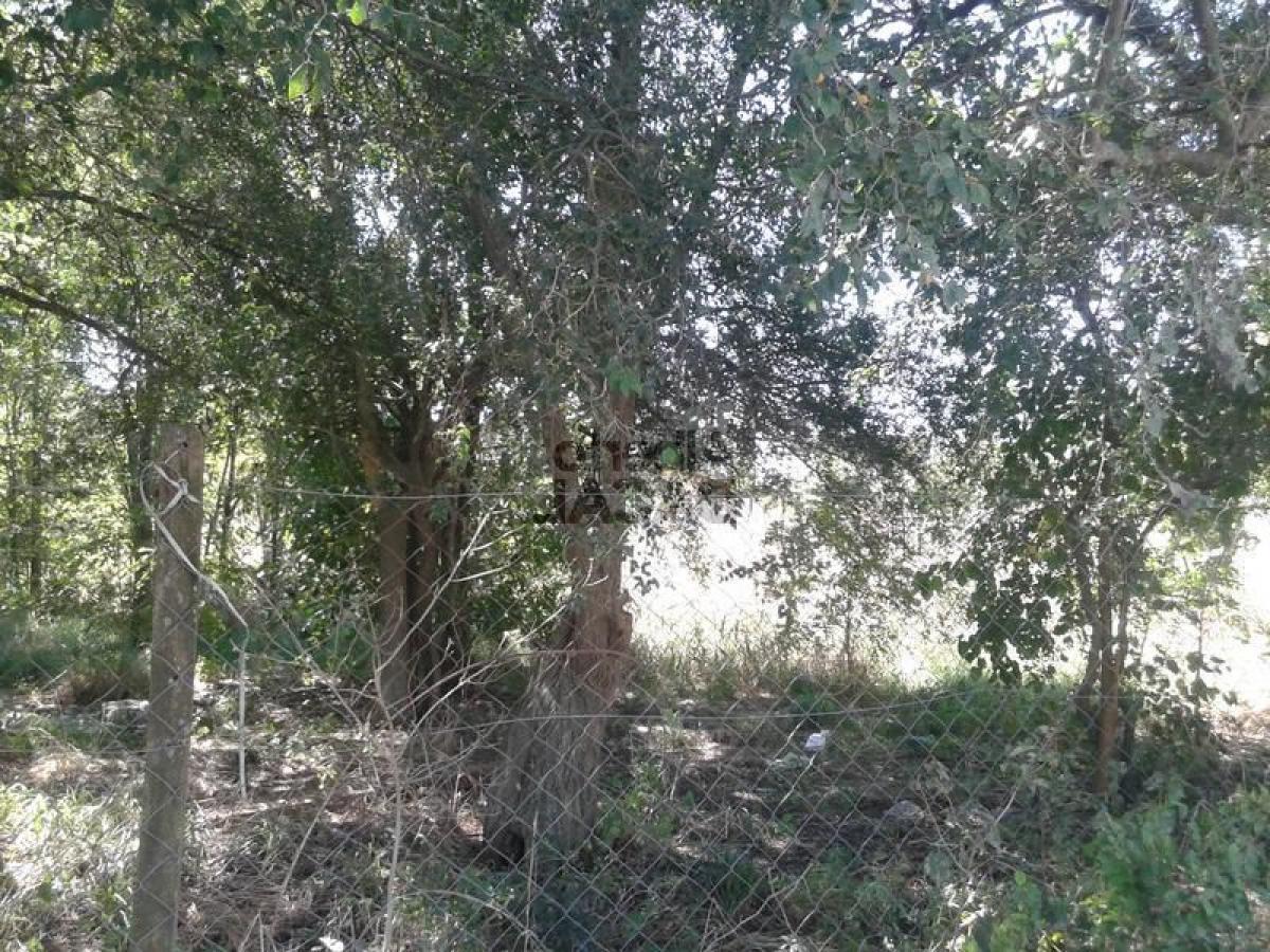  Land in Campo Creado, Argentina No. 48437