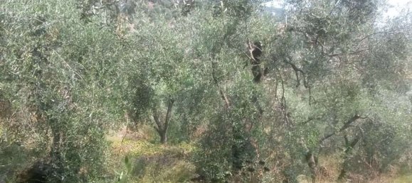 قطعة أرض في Diano San Pietro, Italy 3500متر مربع رقم 139542 2