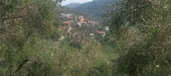 قطعة أرض في Diano San Pietro, Italy 3500متر مربع رقم 139542 7