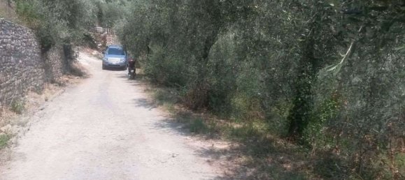 قطعة أرض في Diano San Pietro, Italy 3500متر مربع رقم 139542 5