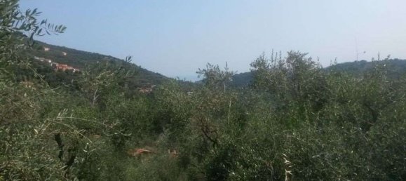 قطعة أرض في Diano San Pietro, Italy 3500متر مربع رقم 139542 8