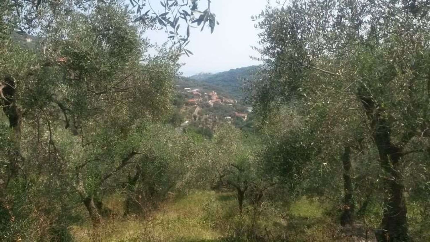  قطعة أرض في Diano San Pietro, Italy 3500متر مربع رقم 139542