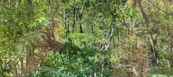 Grundstück in Edolo, Italy 1m², Nr. 277773 4