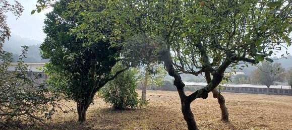 4 bedrooms House in Canelas, Portugal No. 28149 22