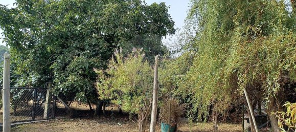 4 bedrooms House in Canelas, Portugal No. 28149 21