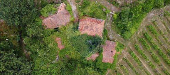 9 bedrooms House in Penafiel, Portugal No. 60059 13