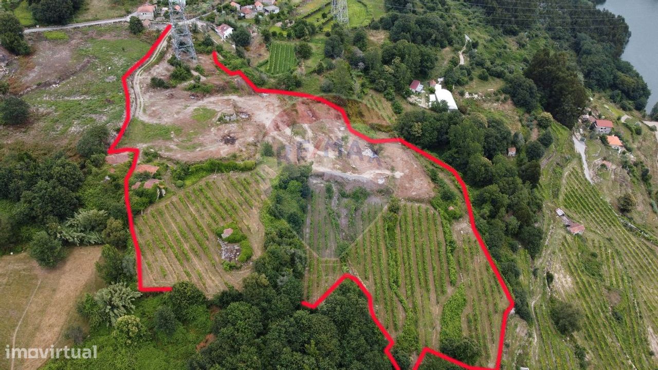 9 bedrooms House in Penafiel, Portugal No. 60059