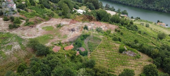 9 bedrooms House in Penafiel, Portugal No. 60059 14