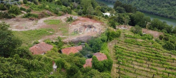 9 bedrooms House in Penafiel, Portugal No. 60059 15