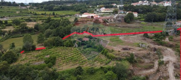 9 bedrooms House in Penafiel, Portugal No. 60059 2