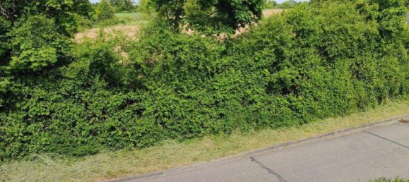 3 rooms Apartment in Karlsruhe, Germany No. 332728 10