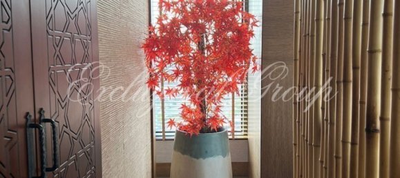 Apartamento de 2+1 en Istanbul, Turkey No. 28908 5