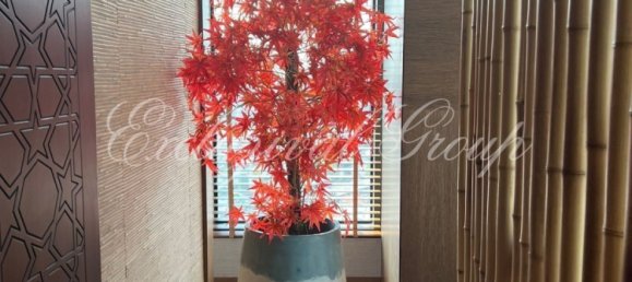 Apartamento de 2+1 en Istanbul, Turkey No. 28908 3