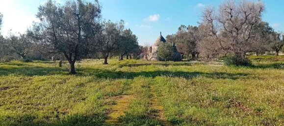 Studio in Carovigno, Italy, Nr. 70604 14