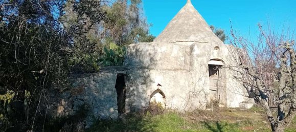 Studio in Carovigno, Italy, Nr. 70604 8