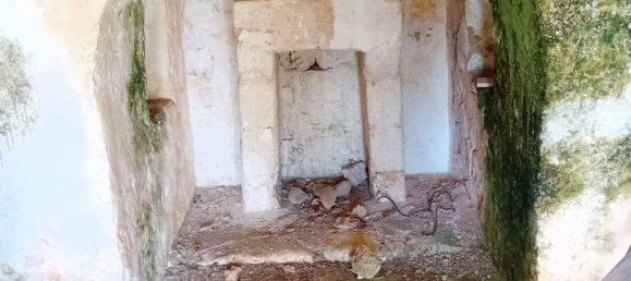 Studio in Carovigno, Italy, Nr. 70604 12