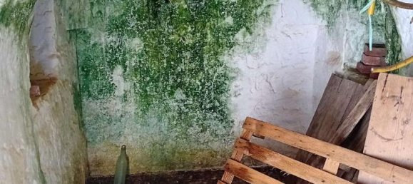 Studio in Carovigno, Italy, Nr. 70604 11