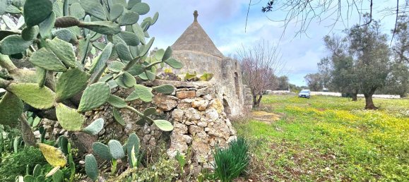 Studio in Carovigno, Italy, Nr. 70604 20