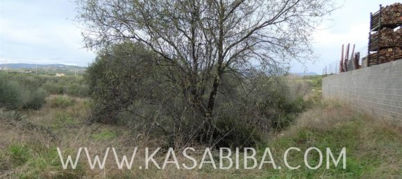 Terrain à Almenara, Spain 1106m² No. 75735 8