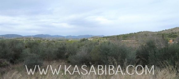 Terrain à Almenara, Spain 1106m² No. 75735 17