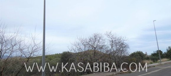 Terrain à Almenara, Spain 1106m² No. 75735 15