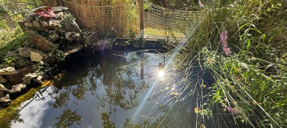 4 bedrooms House in Audenge, France No. 278764 14