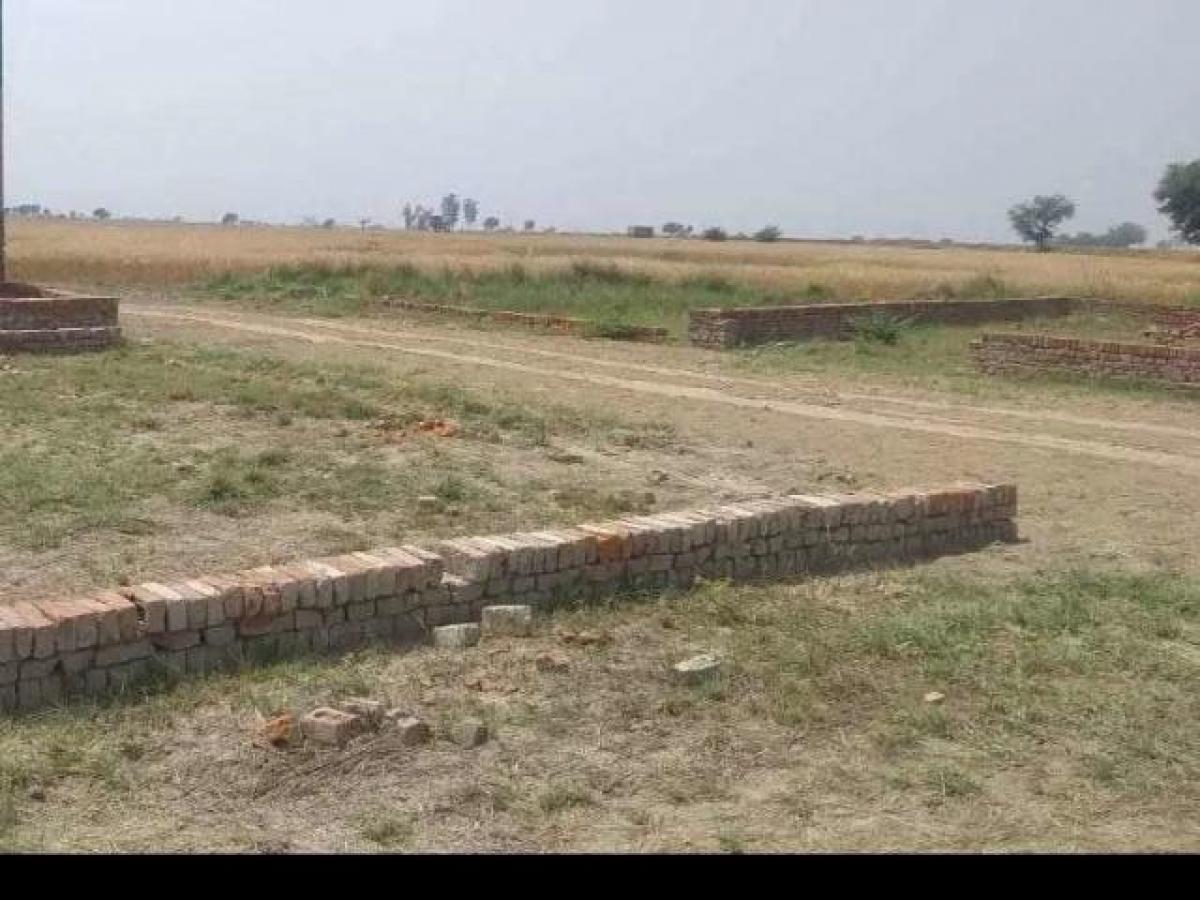  Land in Noida, India No. 65813