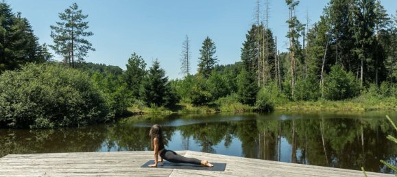 Land in Traunstein, Germany No. 241162 9