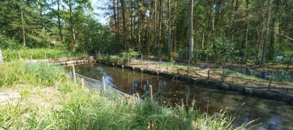 Land in Traunstein, Germany No. 241162 12