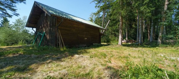 Land in Traunstein, Germany No. 241162 13