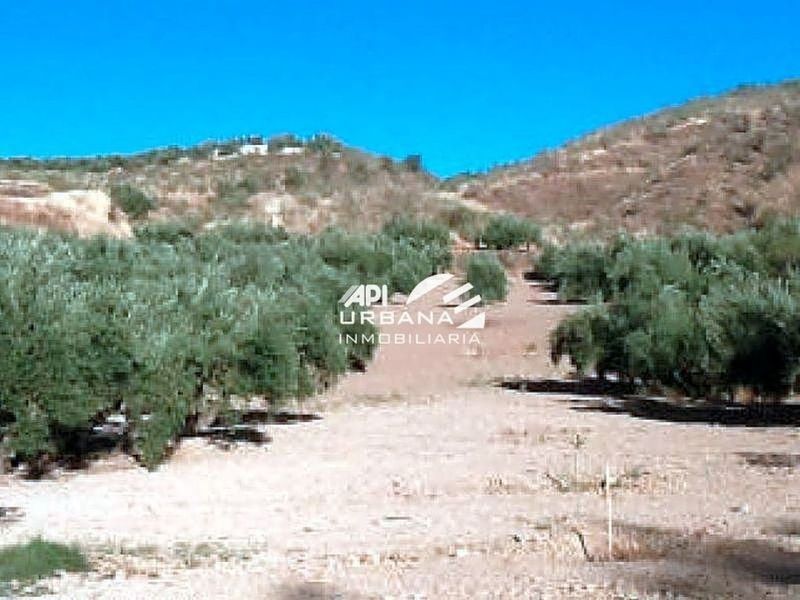 44284m² Land in Priego de Cordoba, Spain No. 222664