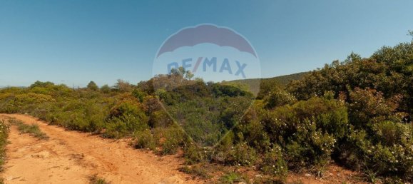 10000m² Land in Olhao, Portugal No. 38051 5