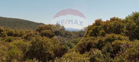 10000m² Land in Olhao, Portugal No. 38051 7