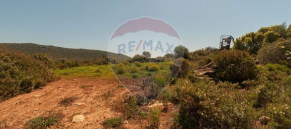 10000m² Land in Olhao, Portugal No. 38051 10