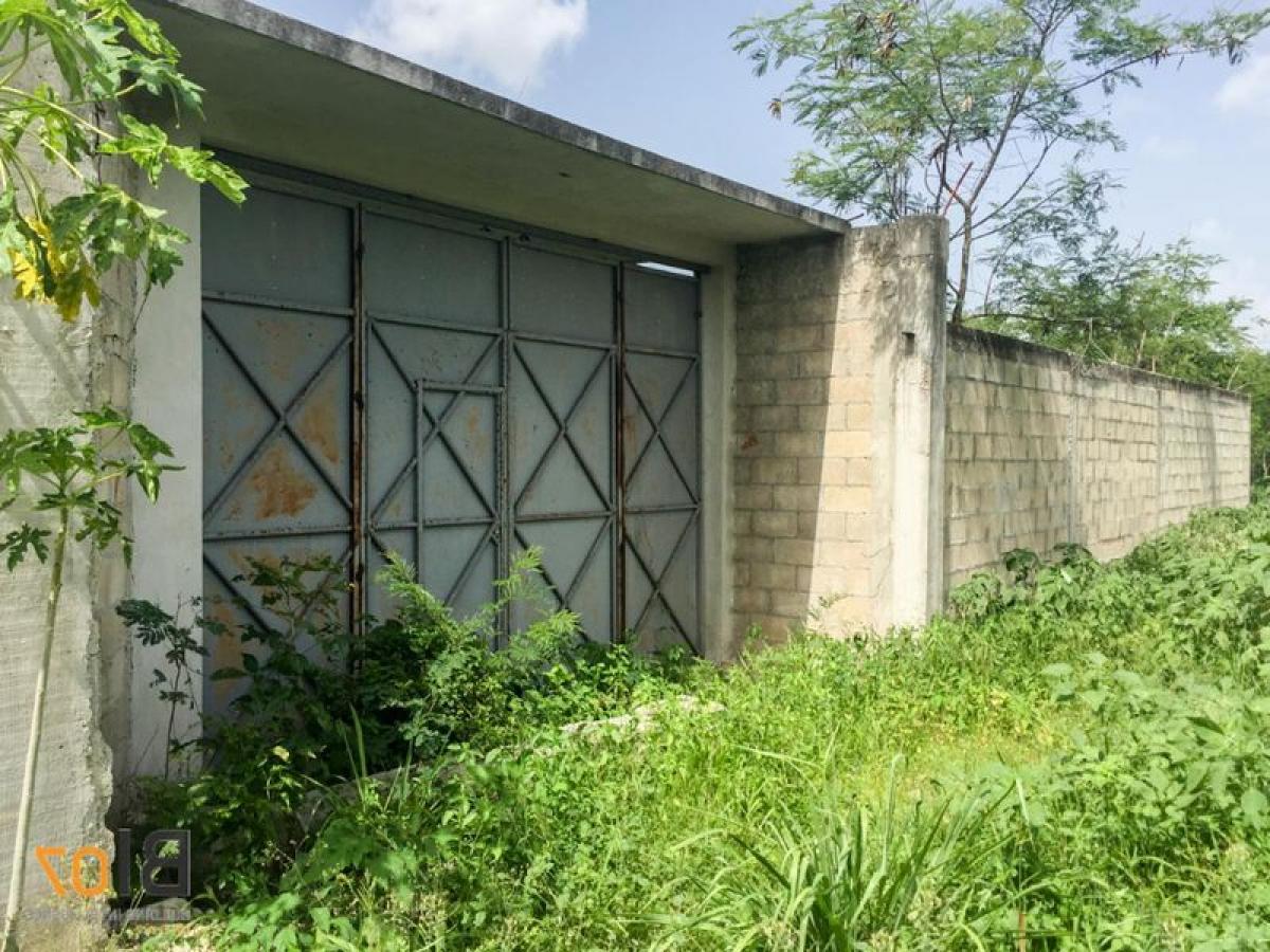 Terreno em Merida, Mexico N.º 103927