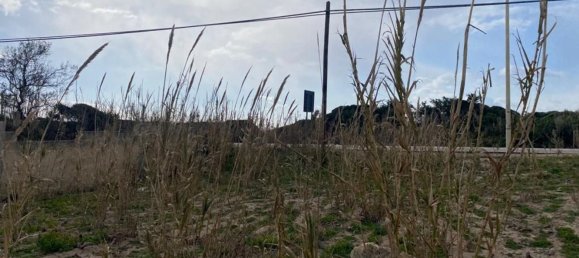 Terreno en Manduria, Italy 650 m² No. 174861 2