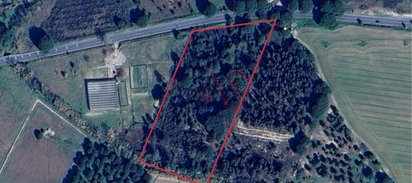 Grundstück in Montijo, Portugal 19250m², Nr. 68872 6