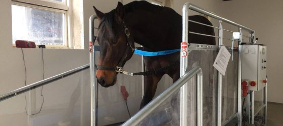 10 chambres Ferme à Burscheid, Germany No. 339439 13