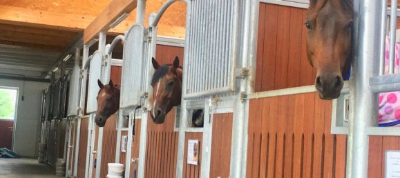 10 chambres Ferme à Burscheid, Germany No. 339439 4