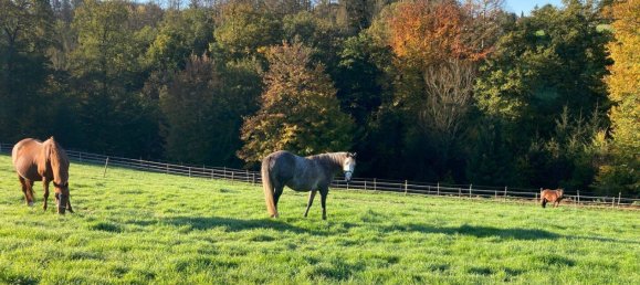 10 chambres Ferme à Burscheid, Germany No. 339439 17
