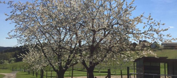 10 chambres Ferme à Burscheid, Germany No. 339439 11