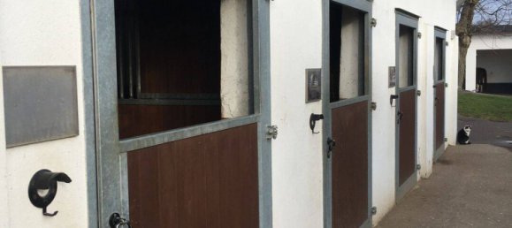 10 chambres Ferme à Burscheid, Germany No. 339439 8