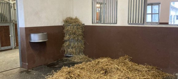 10 chambres Ferme à Burscheid, Germany No. 339439 12