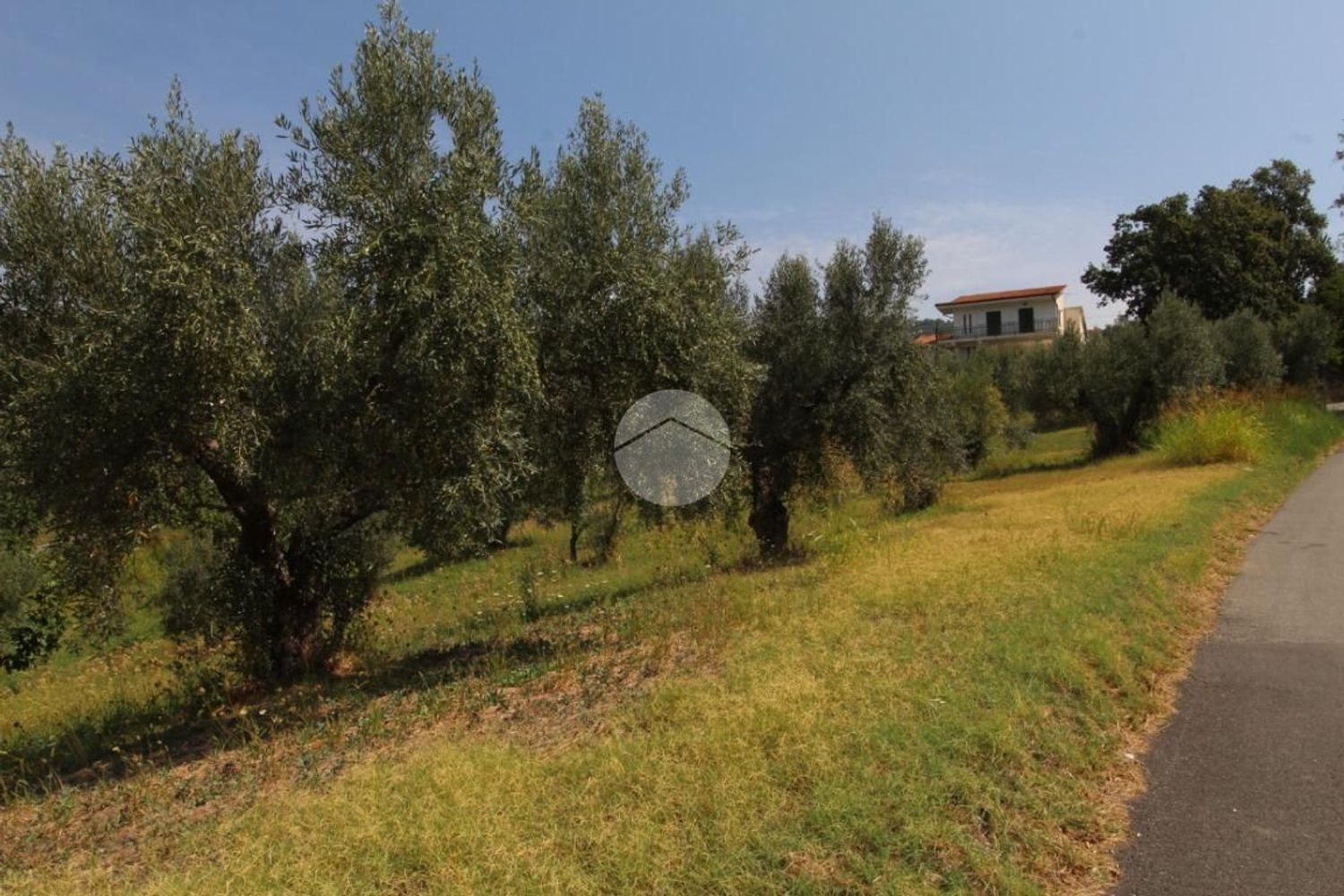 21000m² Land in Luzzi, Italy No. 299005