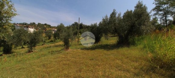 21000m² Land in Luzzi, Italy No. 299005 4