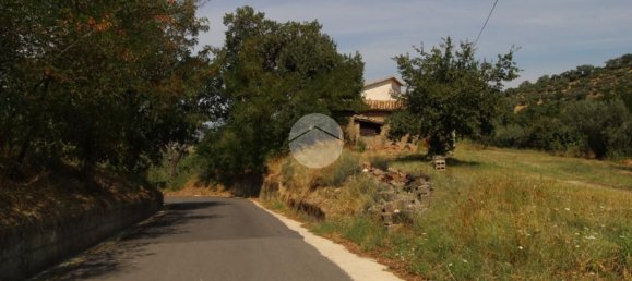21000m² Land in Luzzi, Italy No. 299005 10