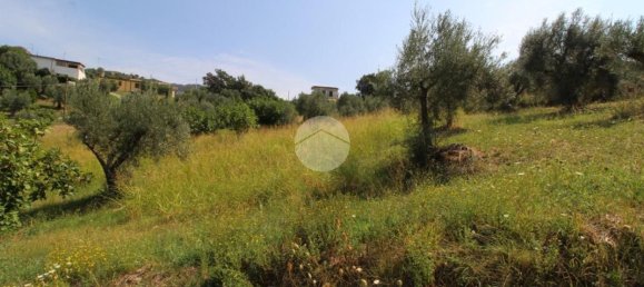 21000m² Land in Luzzi, Italy No. 299005 6